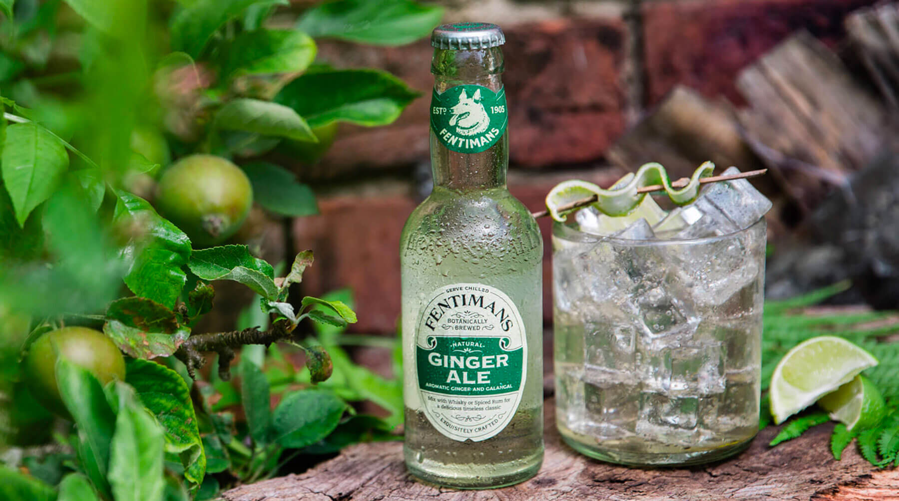 ginger melanotan Ginger Ale – Fentimans
