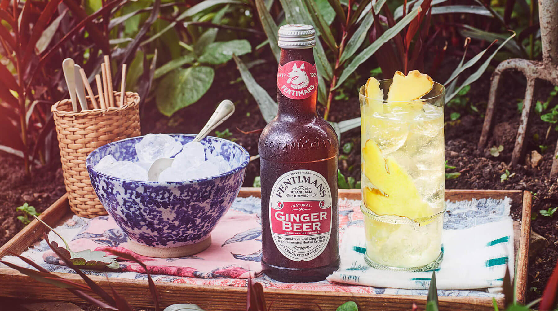 Ginger Beer Fentimans Ginger Beer Fentimans